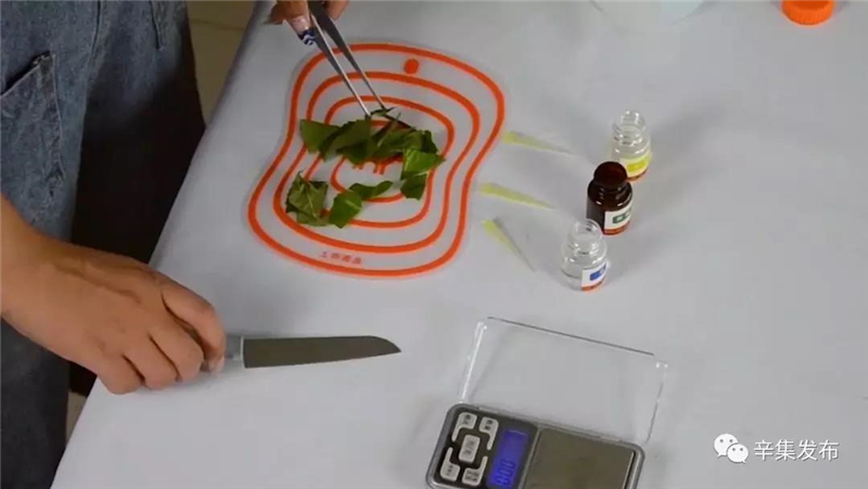 辛集市58所學(xué)校配備農(nóng)藥殘留檢測儀