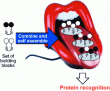 【科普】“電子舌”是什么？檢測(cè)原理是什么？